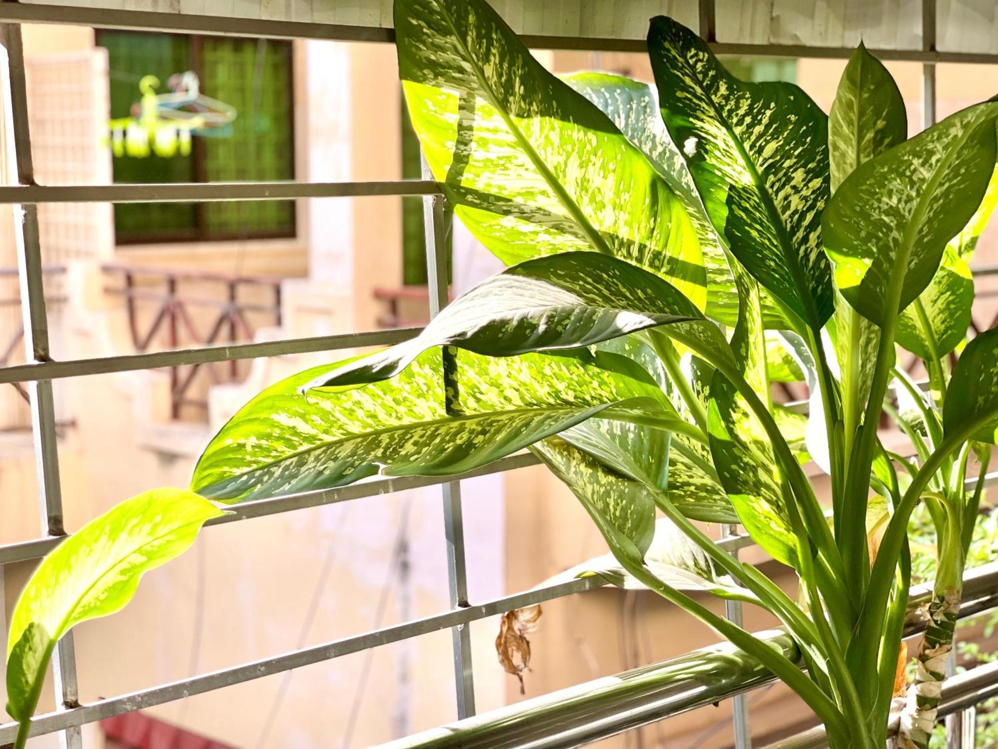 Sky Hotel Central Phnom Penh - Rooms & Apartments المظهر الخارجي الصورة
